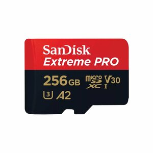 SanDisk Extreme PRO 256 GB MicroSDXC UHS-I Klasse 10