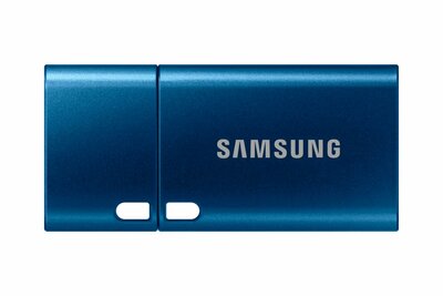 Samsung MUF-256DA USB flash drive 256 GB USB Type-C 3.2 Gen 1 (3.1 Gen 1) Blauw RENEWED