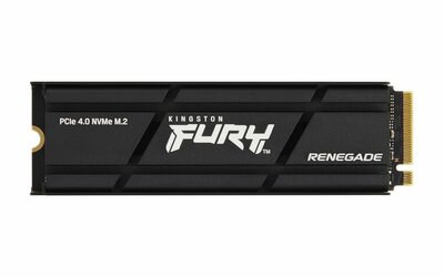 Kingston Fury Renegade | 2TB NVMe SSD | M.2 | 7.300MB/s